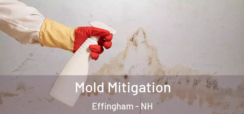  Mold Mitigation Effingham - NH