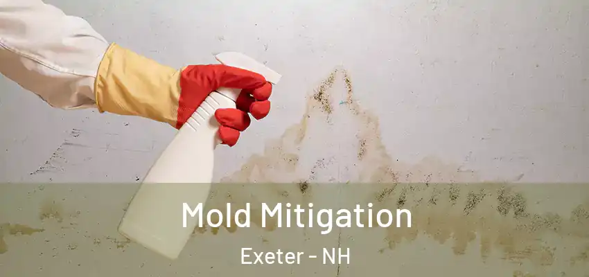 Mold Mitigation Exeter - NH