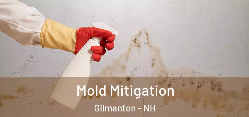  Mold Mitigation Gilmanton - NH