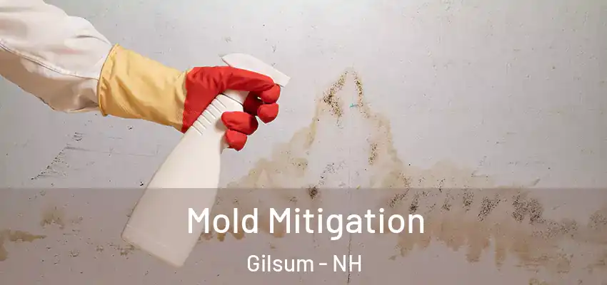  Mold Mitigation Gilsum - NH