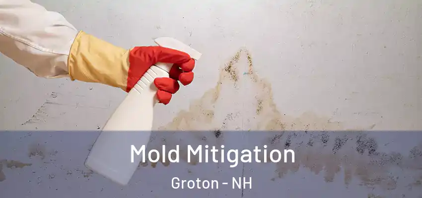  Mold Mitigation Groton - NH