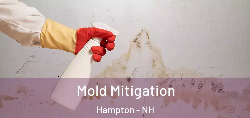  Mold Mitigation Hampton - NH