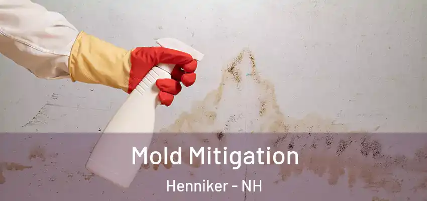  Mold Mitigation Henniker - NH