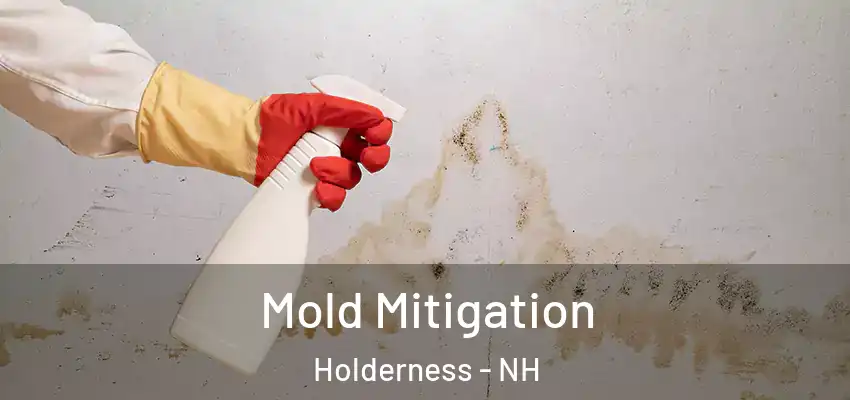  Mold Mitigation Holderness - NH