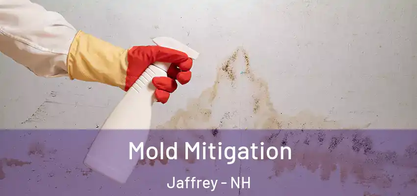 Mold Mitigation Jaffrey - NH