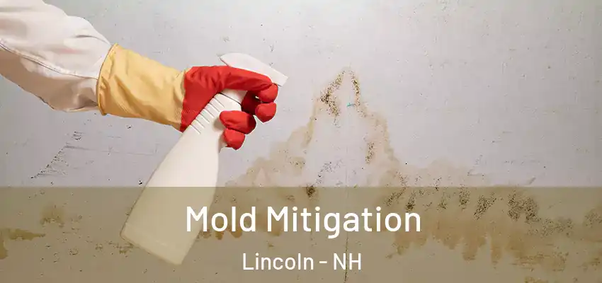  Mold Mitigation Lincoln - NH