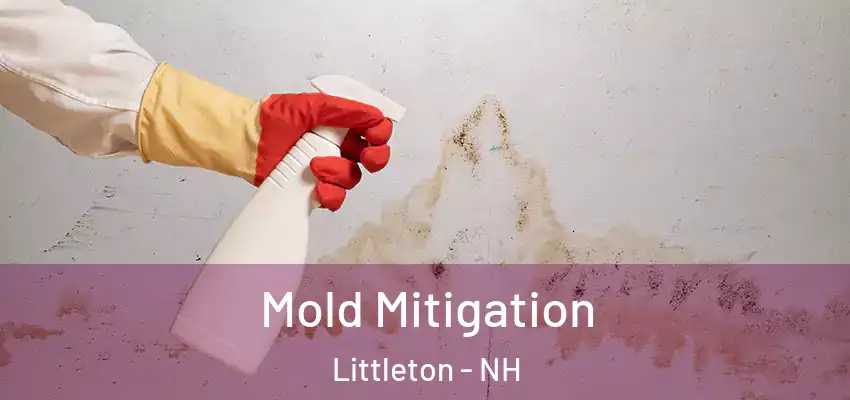 Mold Mitigation Littleton - NH