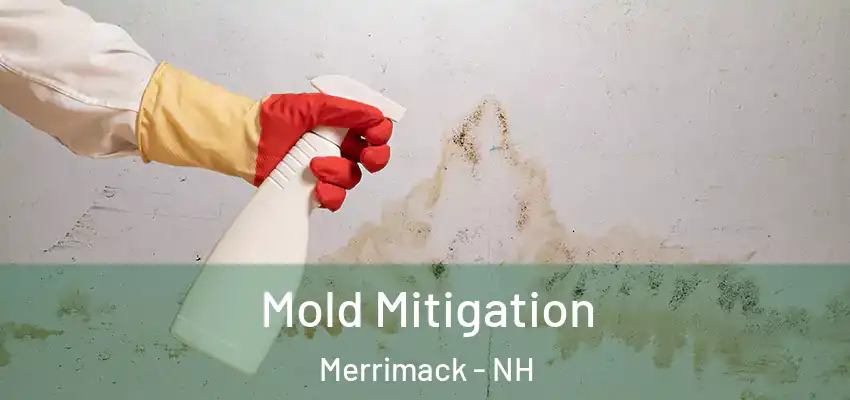  Mold Mitigation Merrimack - NH
