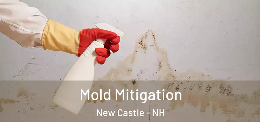  Mold Mitigation New Castle - NH