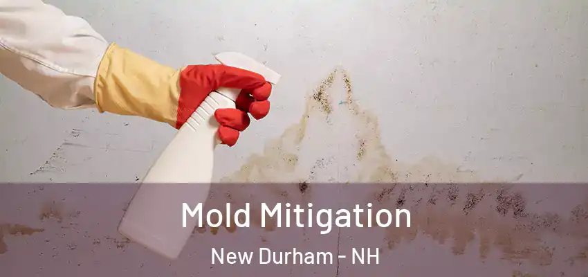  Mold Mitigation New Durham - NH