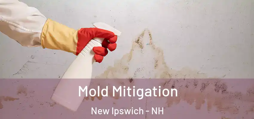  Mold Mitigation New Ipswich - NH