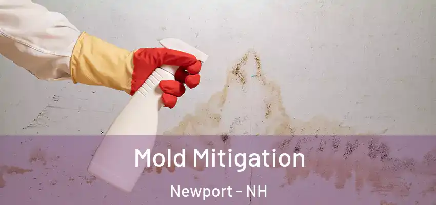  Mold Mitigation Newport - NH