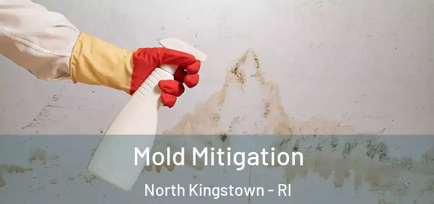  Mold Mitigation North Kingstown - RI