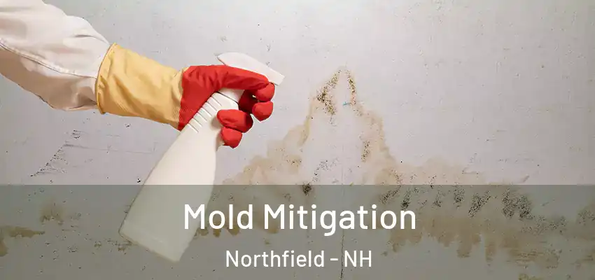 Mold Mitigation Northfield - NH