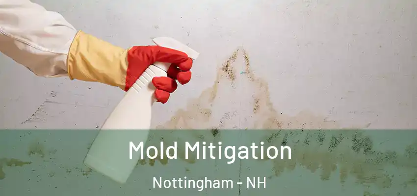  Mold Mitigation Nottingham - NH