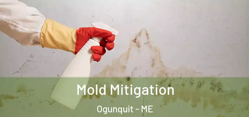 Mold Mitigation Ogunquit - ME