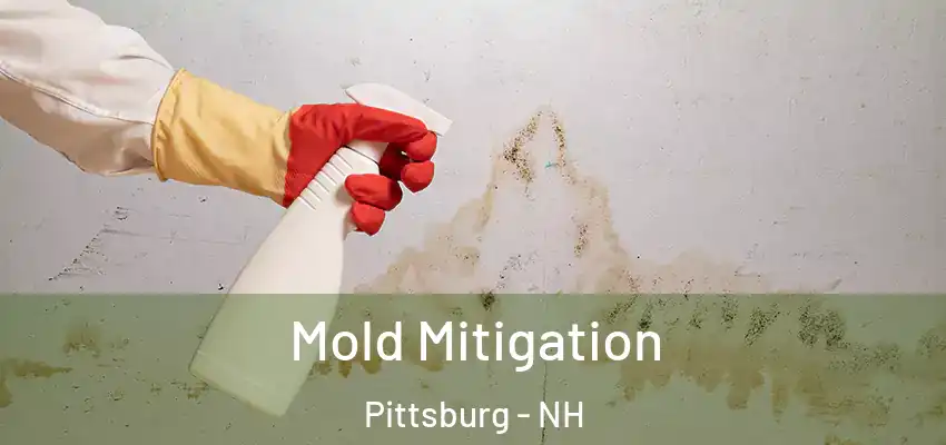  Mold Mitigation Pittsburg - NH