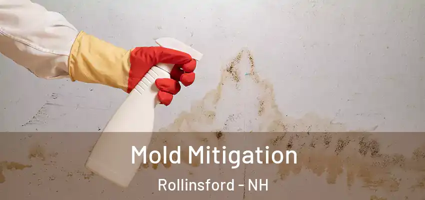  Mold Mitigation Rollinsford - NH