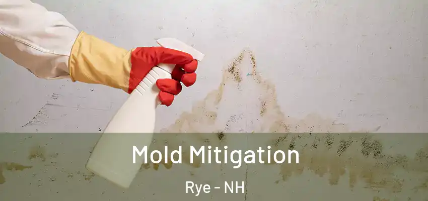  Mold Mitigation Rye - NH