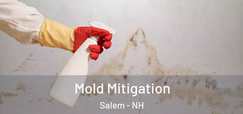  Mold Mitigation Salem - NH