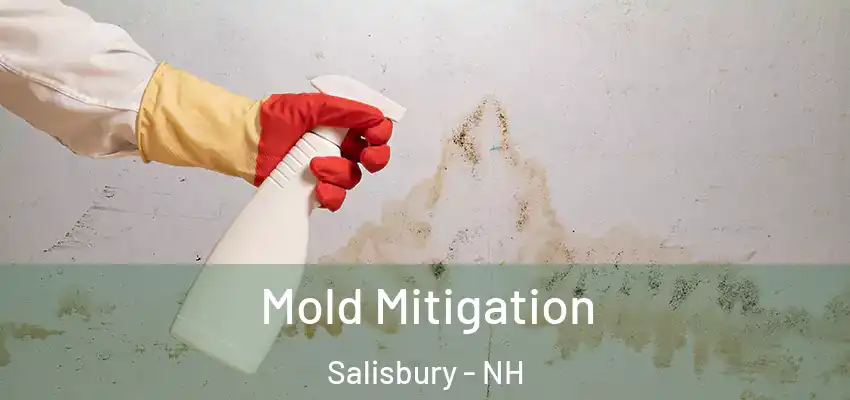  Mold Mitigation Salisbury - NH