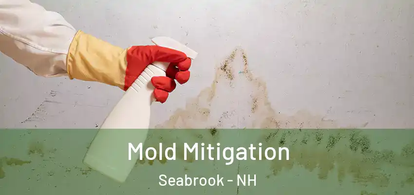  Mold Mitigation Seabrook - NH