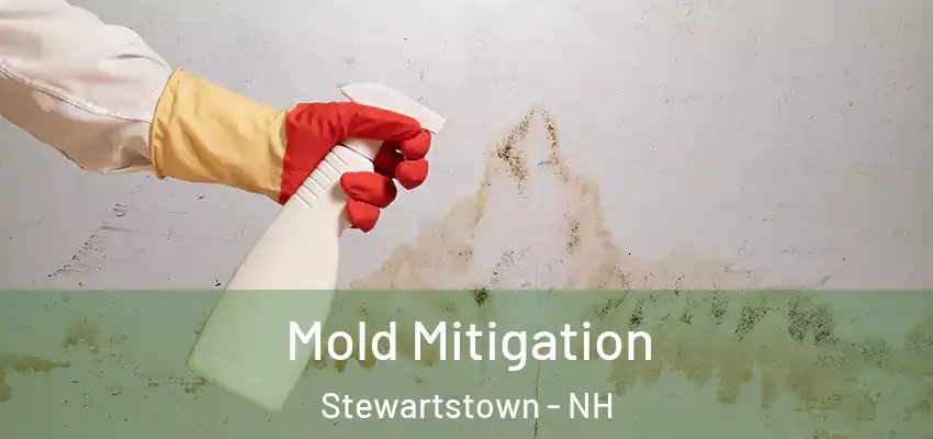 Mold Mitigation Stewartstown - NH