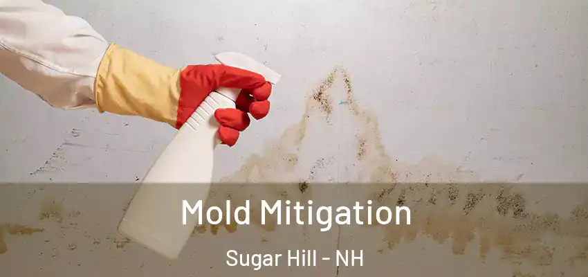Mold Mitigation Sugar Hill - NH