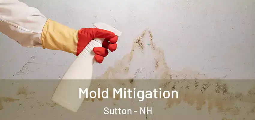  Mold Mitigation Sutton - NH