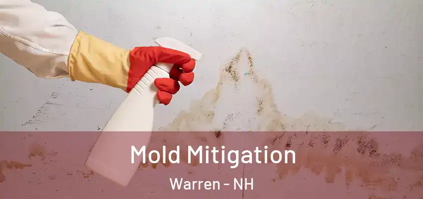  Mold Mitigation Warren - NH
