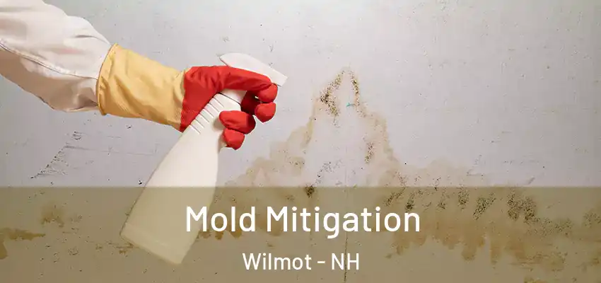 Mold Mitigation Wilmot - NH