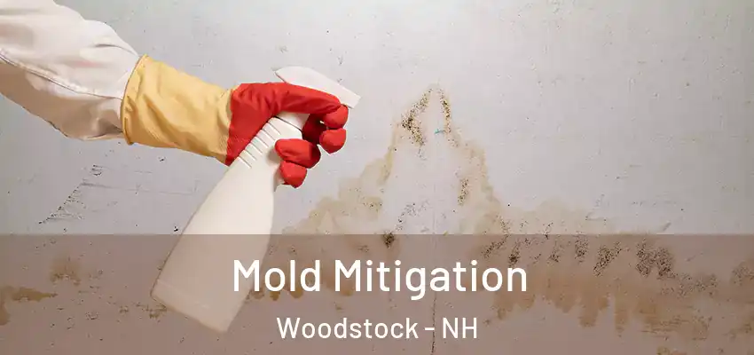 Mold Mitigation Woodstock - NH