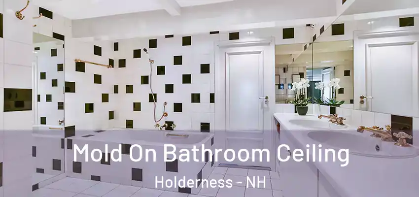 Mold On Bathroom Ceiling Holderness - NH