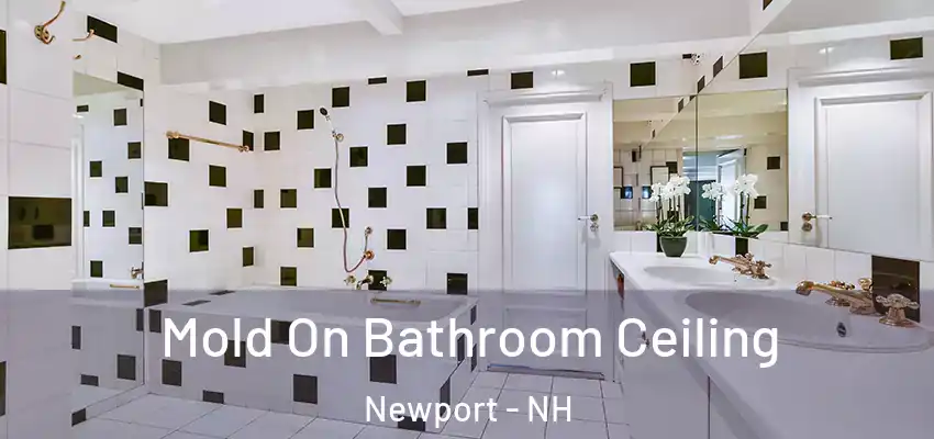  Mold On Bathroom Ceiling Newport - NH