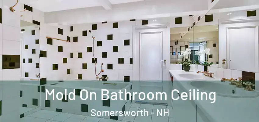  Mold On Bathroom Ceiling Somersworth - NH