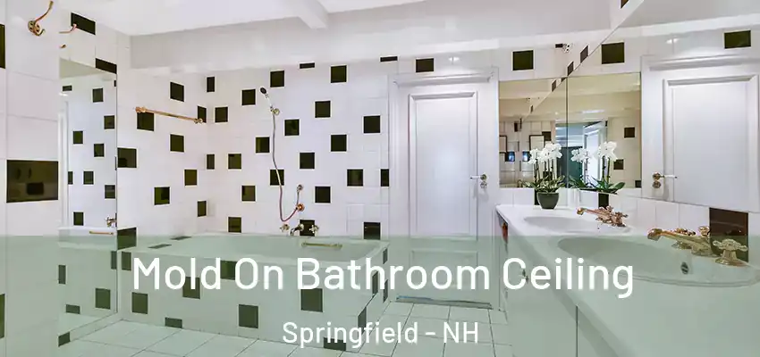 Mold On Bathroom Ceiling Springfield - NH