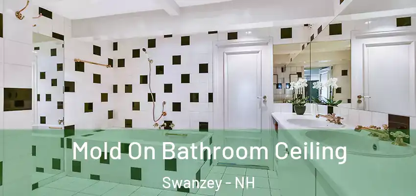 Mold On Bathroom Ceiling Swanzey - NH
