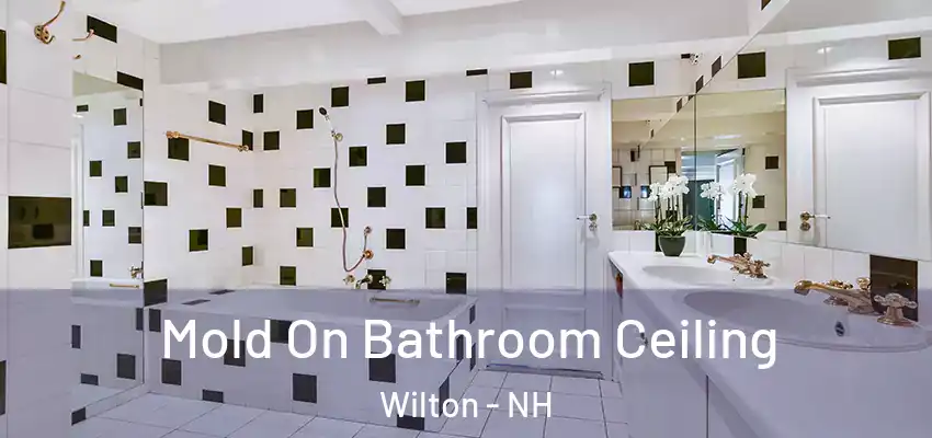  Mold On Bathroom Ceiling Wilton - NH