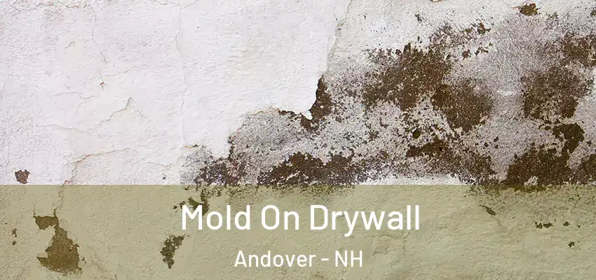  Mold On Drywall Andover - NH