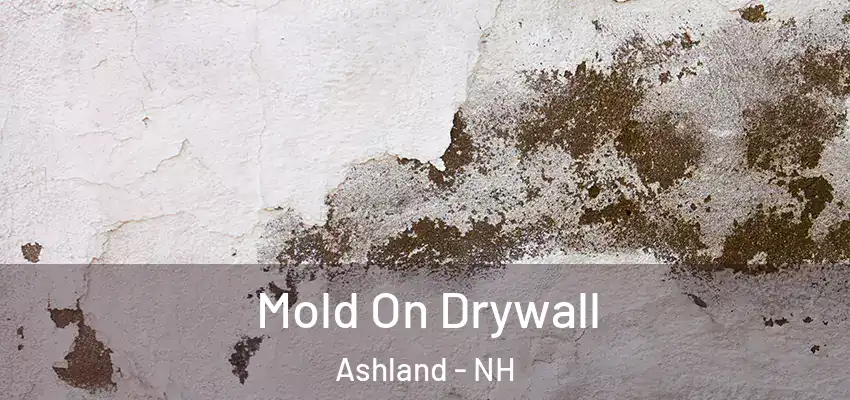 Mold On Drywall Ashland - NH