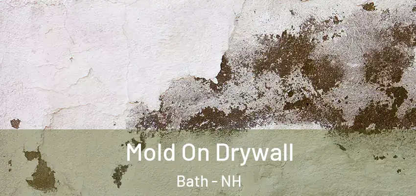 Mold On Drywall Bath - NH