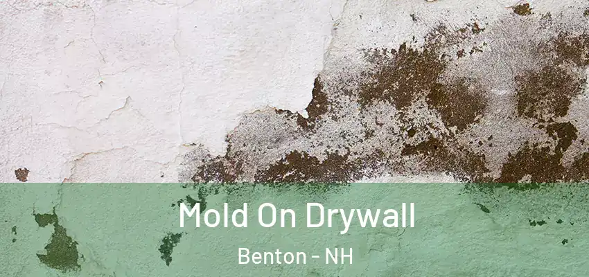 Mold On Drywall Benton - NH