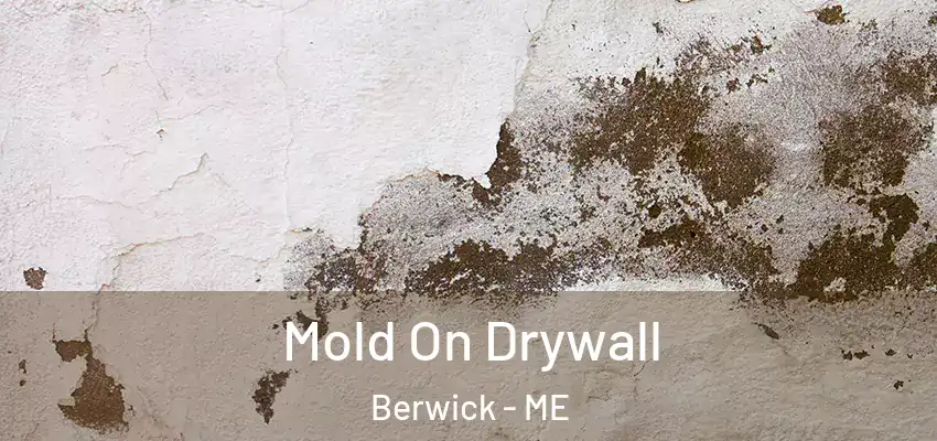  Mold On Drywall Berwick - ME