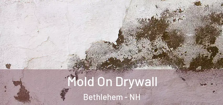 Mold On Drywall Bethlehem - NH