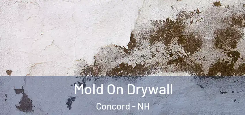  Mold On Drywall Concord - NH