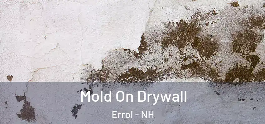 Mold On Drywall Errol - NH