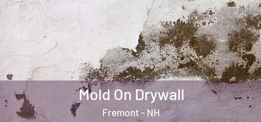  Mold On Drywall Fremont - NH