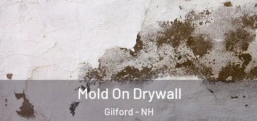 Mold On Drywall Gilford - NH