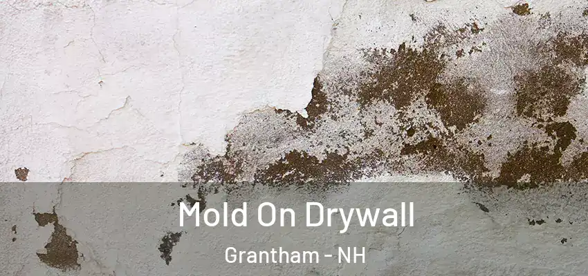 Mold On Drywall Grantham - NH