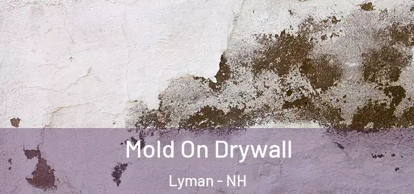 Mold On Drywall Lyman - NH